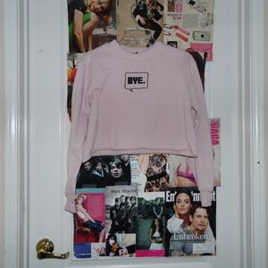 USED Forever 21: Light Pink Longsleeve Crop sweaters
